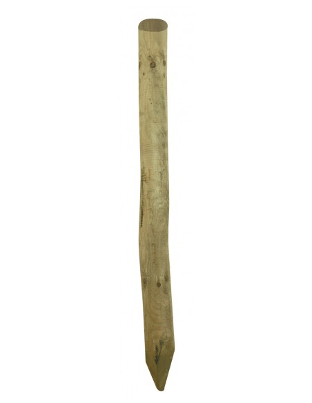 Immagini