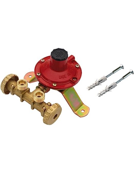 CENTRALINA P/GAS A 2 RUBIN  7 KG/H S/FLESS MIGN*