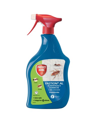 SBM SCARAFAGGI E FORMICHE FASTION AL 1 L