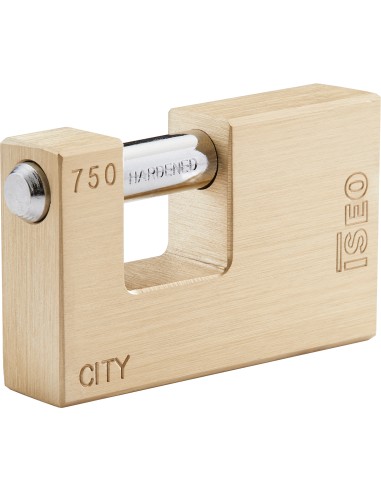 CITY BY ISEO LUCCHETTO P/SERRAN CARBON 76MM OTT