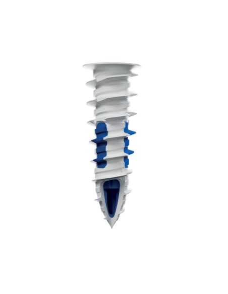 ALLFIX  40 TASSELLI CARTONGESSO 19X54 CON VITE 6 MM