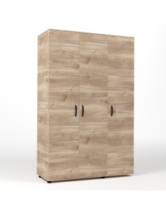 KIT ARMADIO 3 ANTE 120X52X205 CM ROVERE M. K358