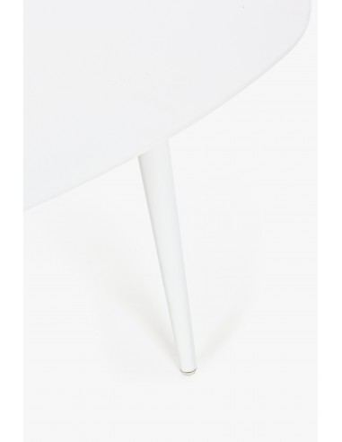 Tavolo da Giardino Ridley 120x75 Bianco Bizzotto