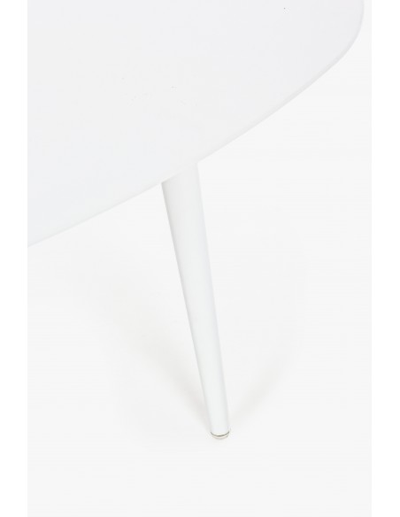 Tavolo da Giardino Ridley 120x75 Bianco Bizzotto