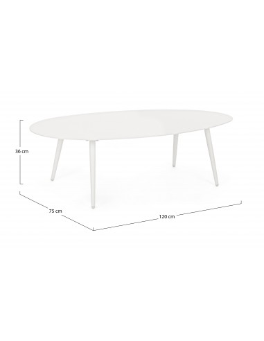 Tavolo da Giardino Ridley 120x75 Bianco Bizzotto