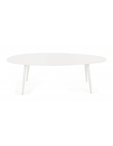 Tavolo da Giardino Ridley 120x75 Bianco Bizzotto