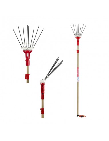 Abbacchiatore Olive 12V "Adrian" Sbaraglia