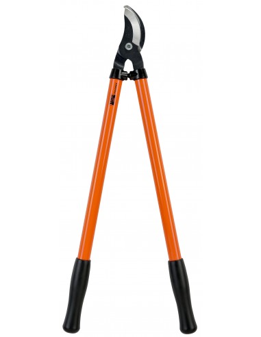 Prodotti